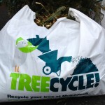 Resolving to Improve Your Neighborhood Urban Trees in 2013 | Curb Allure Blog