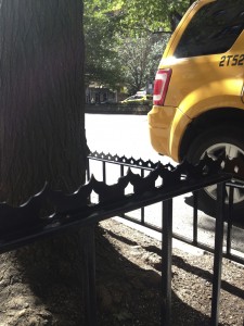 Would you want your preschooler practicing her balancing skills on one of these razor edges? We didn’t think so. New York City no longer issues tree guard permits to guard designs with excessively sharp edges or sit spikes. 